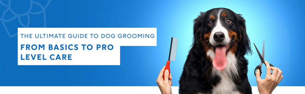 Ultimate Guide to Dog Grooming